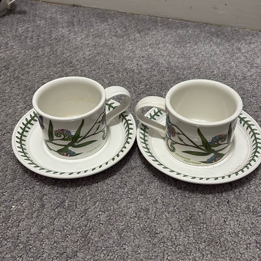 Set of two Portmeirion Botanic Garden Cups & Saucers